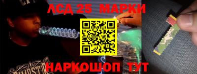 индика Новозыбков