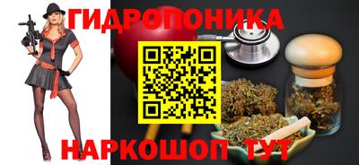 индика Новозыбков