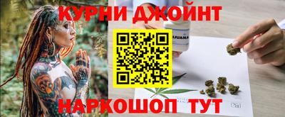 индика Новозыбков