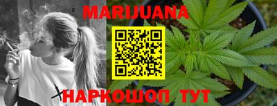 индика Новозыбков