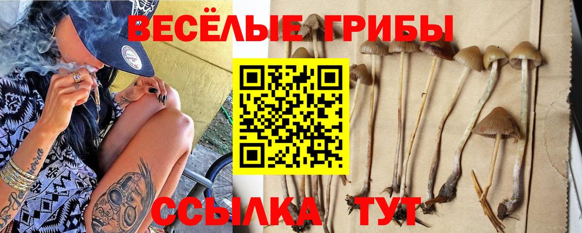 Псилоцибиновые грибы прущие грибы Свободный
