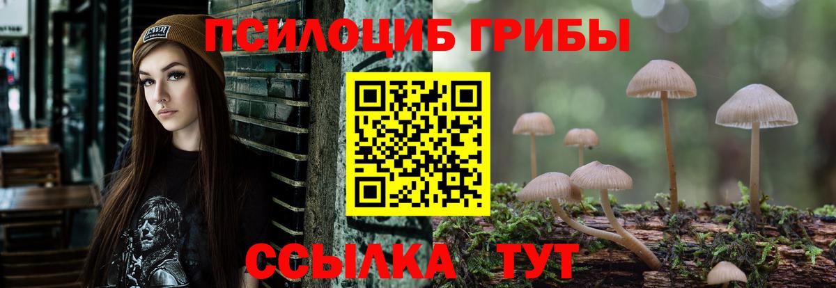 Псилоцибиновые грибы мицелий  Вход с VPN  Свободный  Галлюциногенные грибы Magic Shrooms 